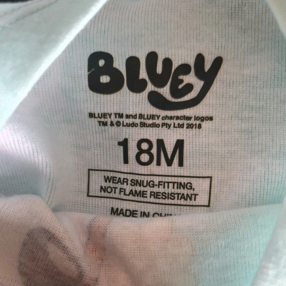 Bluey Bingo 2 Piece PJ Set, Light Green Size 18mos NWT
